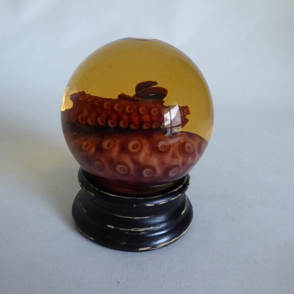 RED TIGER OCTOPUS TENTACLE GLASS GLOBE WET SPECIMEN PROFESSIONAL TAXIDERMY - Picture 9 of 11